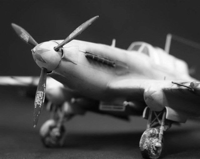 IMG_6786 (Large).jpg